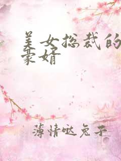 美女总裁的顶级豪婿