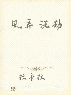 风弄 洗劫