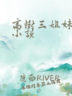 高树三姐妹有声小说