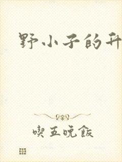 野小子的升官路