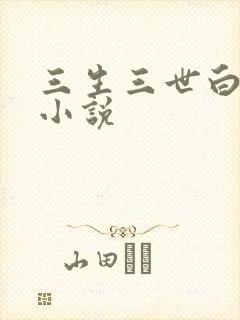 三生三世白暮泪小说