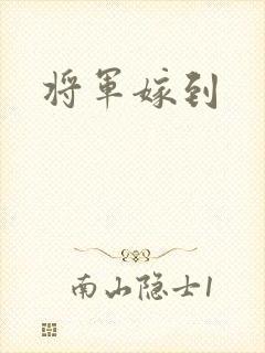将军嫁到