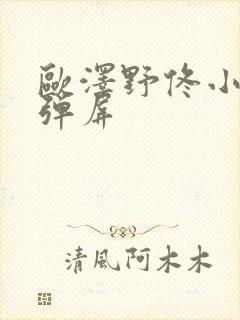 欧泽野佟小曼无弹屏