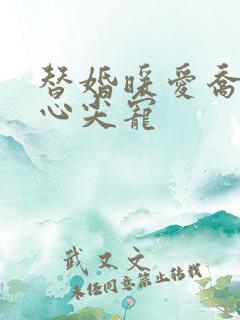 替婚暖爱乔少的心尖宠