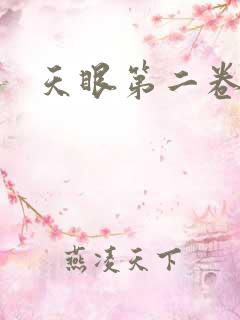 天眼第二卷