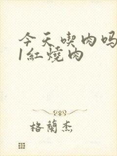 今天吃肉吗1V1红烧肉