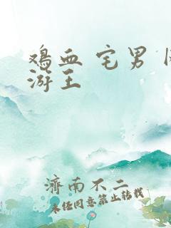 鸡血 宅男 网游王