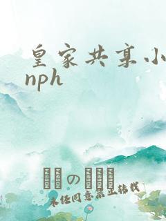 皇家共享小公主nph
