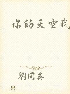你的天空我的城