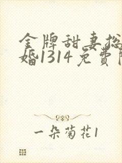 金牌甜妻总裁宠婚1314免费阅读