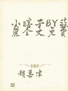 小瞎子BY苏玛丽全文免费笔趣阁