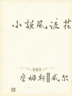 小说风流花少
