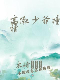 高傲少爷撞到爱情