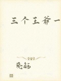 三个王爷一个妃