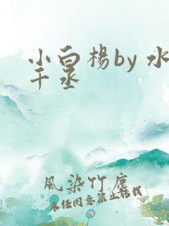 小白杨by 水千丞