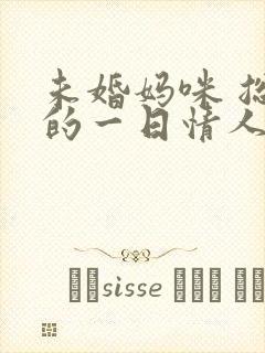 未婚妈咪 总裁的一日情人