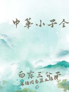 中华小子全集