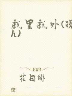 戏里戏外(现场h)