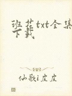 班花txt全集下载