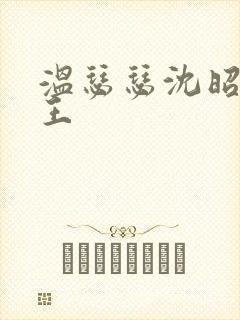 温瑟瑟沈昭摄政王