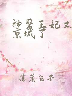 神医王妃又轰动京城了