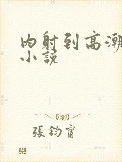 内射到高潮的H小说