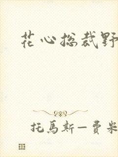 花心总裁野蛮妻