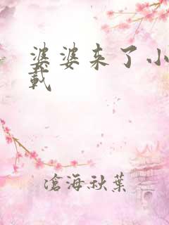 婆婆来了小说下载