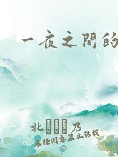 一夜之间的天才