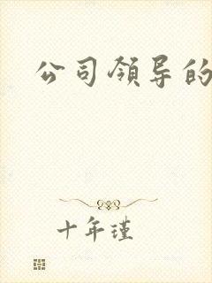 公司领导的老婆