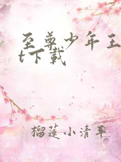 至尊少年王txt下载