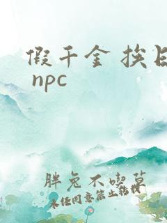 假千金 挨日记 npc