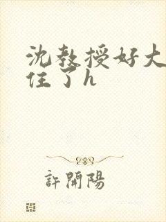 沈教授好大含不住了h