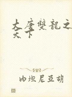 大唐双龙之无敌天下