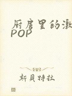 厨房里的激战2POP