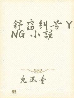 舒窈纠兮 YING 小说