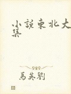 小说东北大炕全集