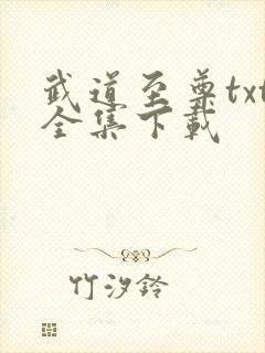 武道至尊txt全集下载