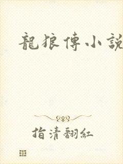 龙狼传小说