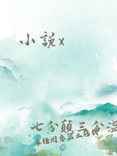 小说x