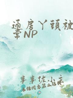 通房丫头被肉日常NP