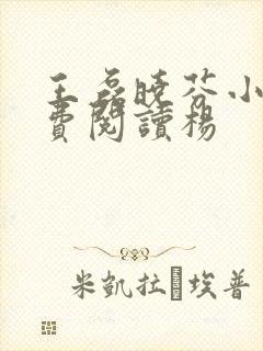 王磊晓芬小说免费阅读杨