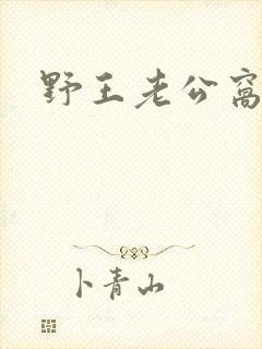 野王老公窝