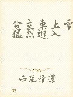 公交车上雪柔被猛烈进入