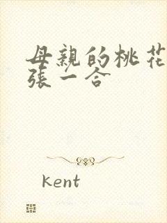 母亲的桃花源一张一合