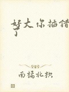 好大你插错地方了