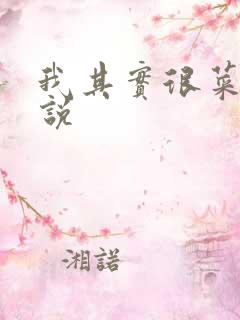 我其实很菜的小说