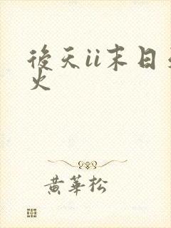 后天ii末日天火