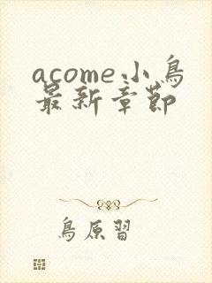 acome小鸟最新章节