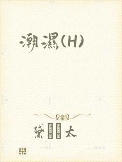 潮湿(H)